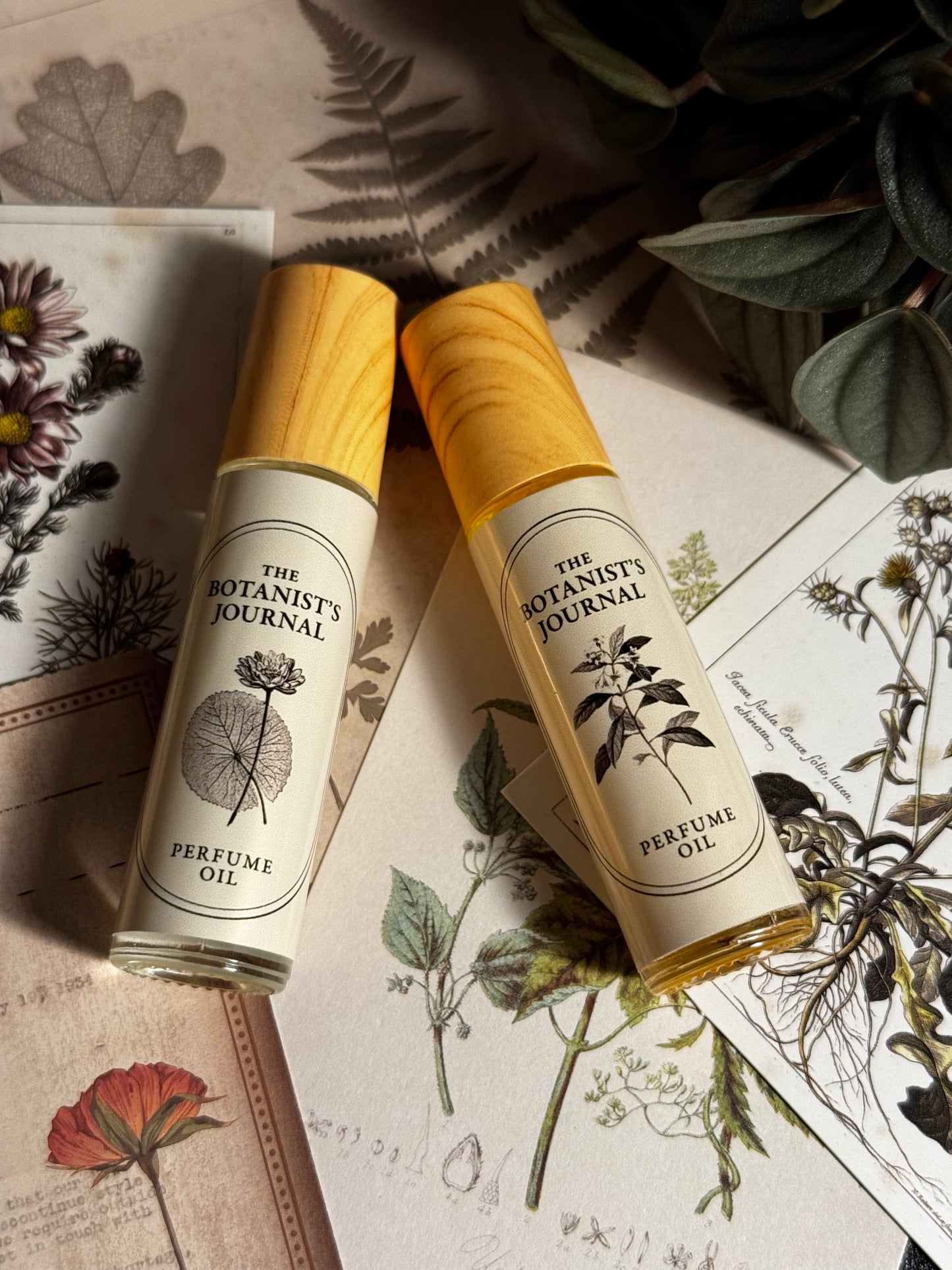Jasmine Perfume Oil