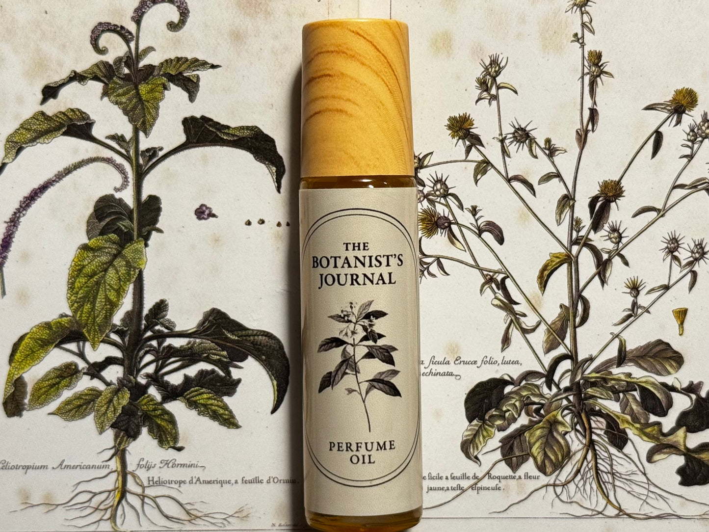 Jasmine Perfume Oil